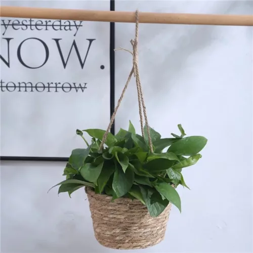 Jardinière suspendue en matériaux écologiques – Décorez vos espaces avec style tout en respectant la planète