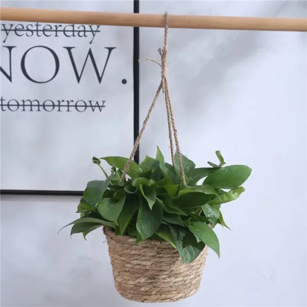 Jardinière suspendue en matériaux écologiques – Décorez vos espaces avec style tout en respectant la planète
