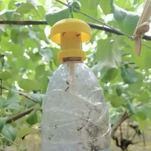 Piège à frelons avec appât naturel – Protection efficace du jardin sans produits chimiques