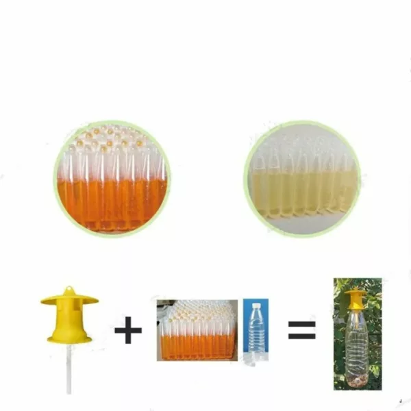 Piège à frelons avec appât naturel – Protection efficace du jardin sans produits chimiques