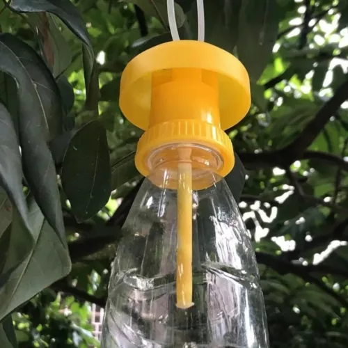 Piège à frelons avec appât naturel – Protection efficace du jardin sans produits chimiques