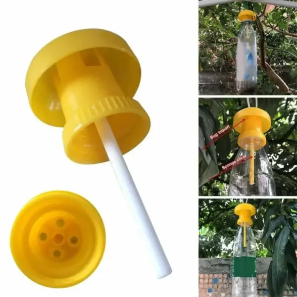 Piège à frelons avec appât naturel – Protection efficace du jardin sans produits chimiques