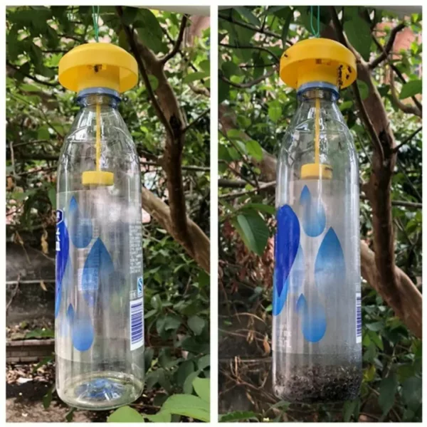 Piège à frelons avec appât naturel – Protection efficace du jardin sans produits chimiques