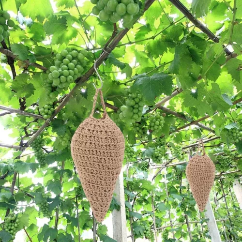Piège à guêpes extérieur avec crochet – Éloigne efficacement les insectes pour des repas en plein air paisibles