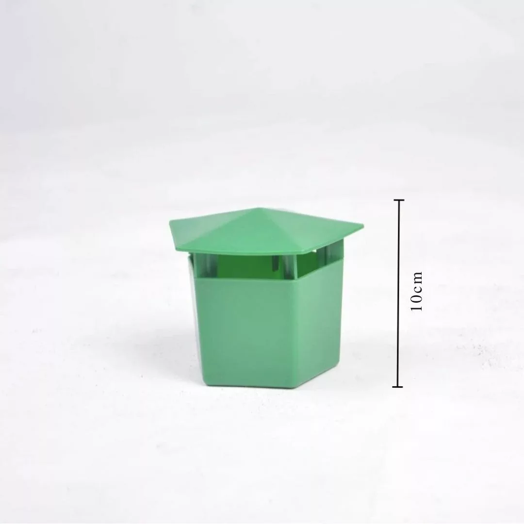 Piège à limaces pour bac potager – Protection 100% naturelle des cultures – Évitez les dégâts sans produits chimiques