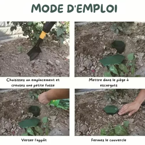 Piège à limaces sans produit chimique