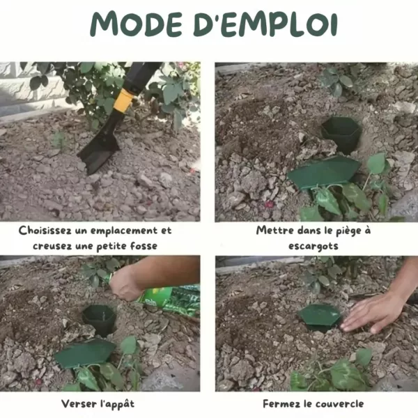 Piège à limaces sans produit chimique