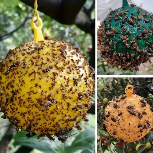 Piège à mouches écologique pour terrasse – Stop aux nuisibles sans produits chimiques – Efficace, réutilisable et sans odeur