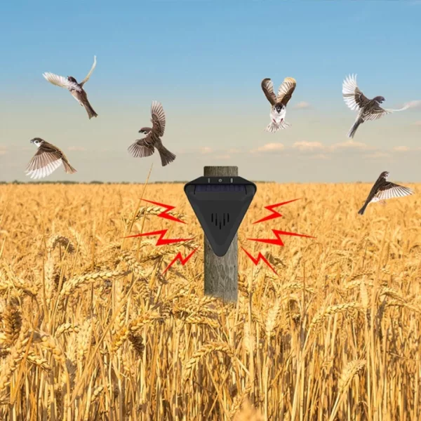 Répulsif ultrason solaire pour pigeons – Éloigne efficacement les nuisibles sans produits chimiques – Écologique & autonome