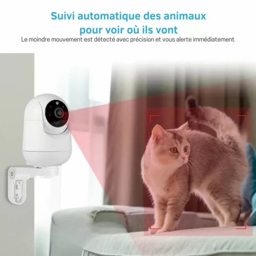 Système de surveillance pour niche animaux – Caméra HD connectée pour veiller à distance sur votre compagnon