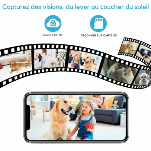 Système de surveillance pour niche animaux – Caméra HD connectée pour veiller à distance sur votre compagnon