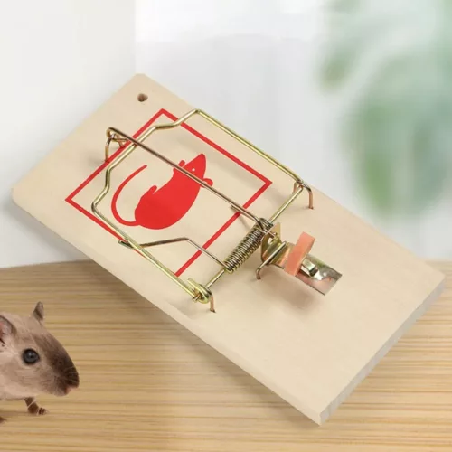 Tapette à souris sans contact humain – Capture propre et rapide, hygiène garantie, idéal maison et garage