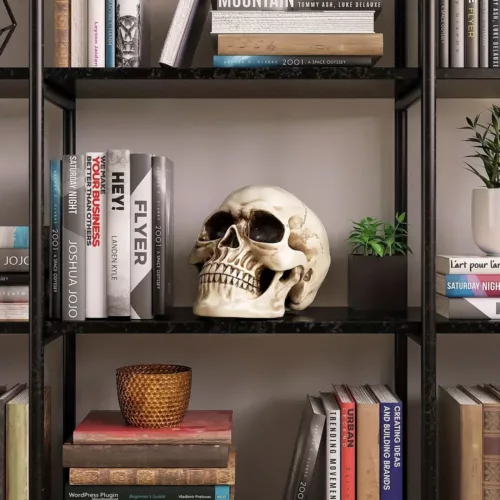 Crâne décoratif réaliste pour Halloween – accessoire effrayant en résine