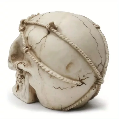 Sculpture crâne en résine artisanale – décoration gothique ou cabinet de curiosités