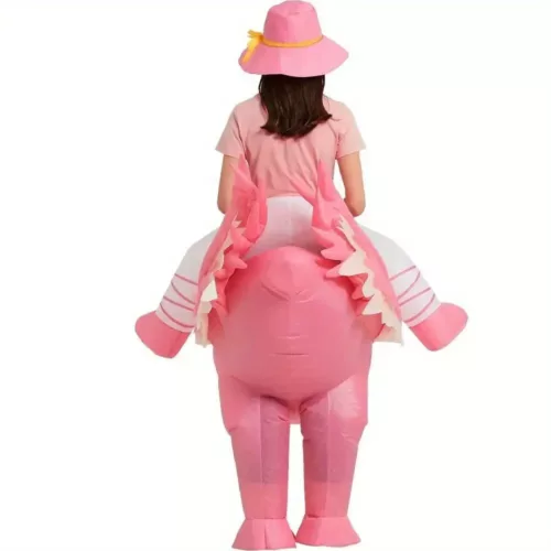 Costume gonflable flamant rose pour femme – déguisement original et fun