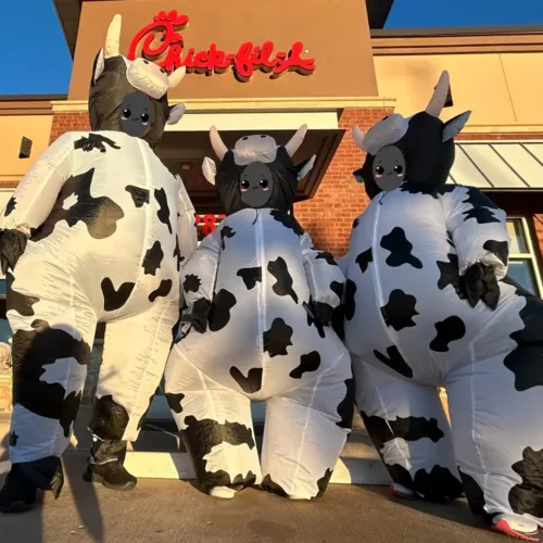 Déguisement vache gonflable pour adolescent – costume original et fun