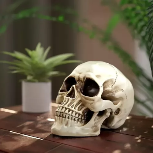 Crâne décoratif en résine – accessoire d’Halloween et fête des Morts