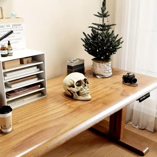 Crâne décoratif en résine – accessoire d’Halloween et fête des Morts
