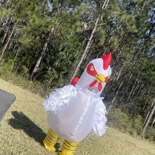 Costume gonflable adulte coq debout – déguisement humoristique pour événements