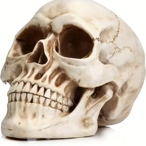 Crâne décoratif en résine – accessoire d’Halloween et fête des Morts