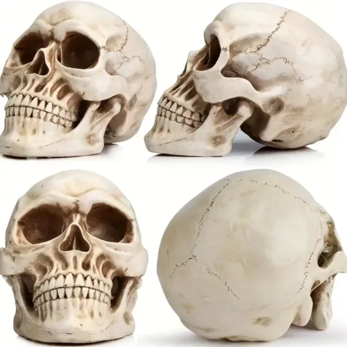 Crâne décoratif en résine – accessoire d’Halloween et fête des Morts