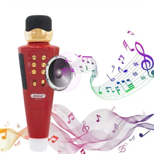 Microphone karaoké sans fil avec haut-parleur Bluetooth et port USB intégré