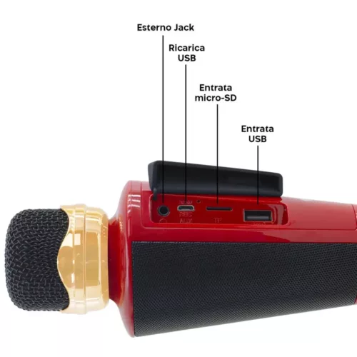 Microphone karaoké sans fil avec haut-parleur Bluetooth et port USB intégré