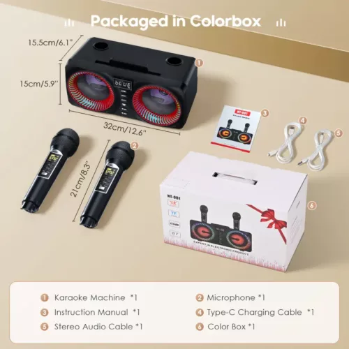 Karaoké portable tout-en-un avec micro sans fil – enceinte Bluetooth intégrée