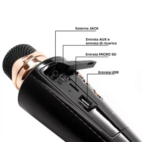 Microphone karaoké sans fil avec haut-parleur Bluetooth et port USB intégré