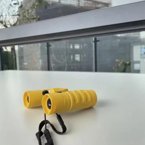 Jumelles compactes 10x22 – légères et robustes pour observation en extérieur
