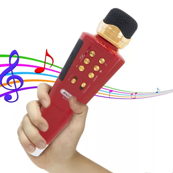 Microphone karaoké sans fil avec haut-parleur Bluetooth et port USB intégré