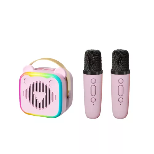 Karaoké sans fil avec 2 micros – enceinte rechargeable et lumières LED multicolores