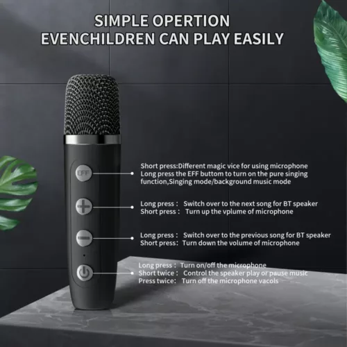 Machine karaoké Bluetooth avec 2 micros sans fil – enceinte portable rechargeable