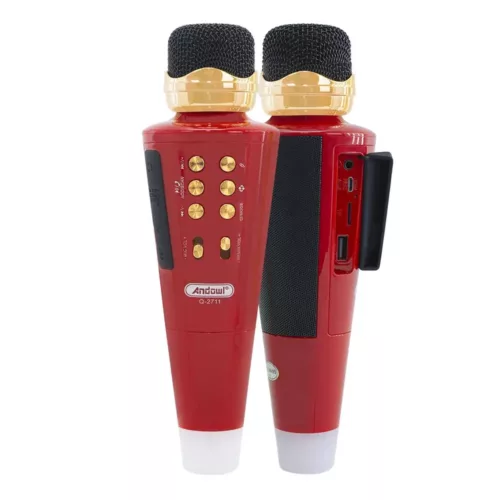 Microphone karaoké sans fil avec haut-parleur Bluetooth et port USB intégré