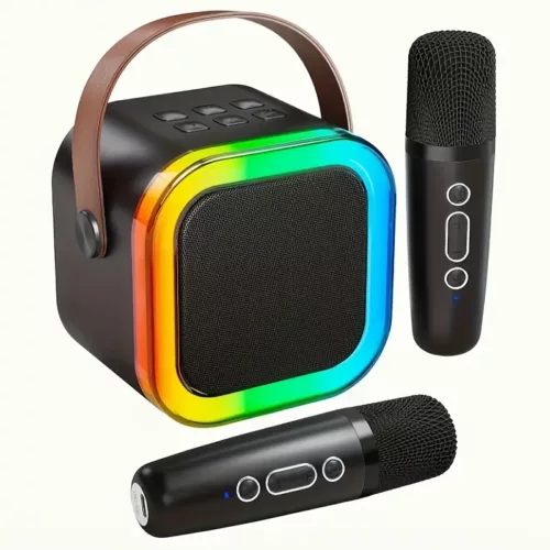 Karaoké portable avec 2 micros filaires – mini système audio tout-en-un