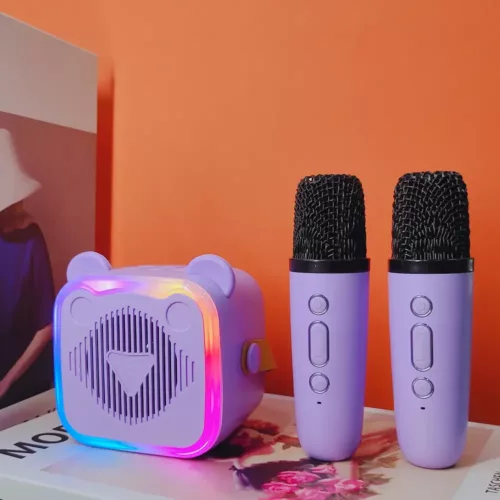 Karaoké sans fil avec 2 micros – enceinte rechargeable et lumières LED multicolores