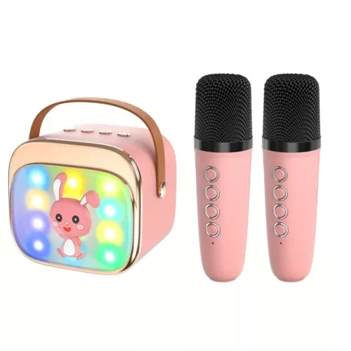 Micro karaoké portable sans fil avec LED et micro USB-C rechargeable – fêtes et anniversaires