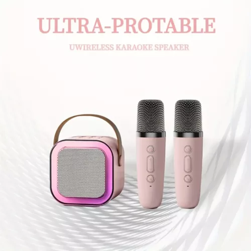 Karaoké portable avec 2 micros filaires – mini système audio tout-en-un