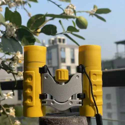 Jumelles compactes 10x22 – légères et robustes pour observation en extérieur