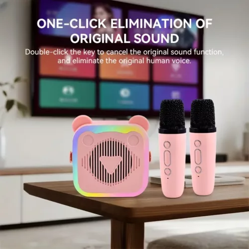 Karaoké sans fil avec 2 micros – enceinte rechargeable et lumières LED multicolores