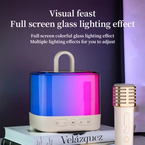 Machine de karaoké portable avec micro sans fil et haut-parleur lumineux fête